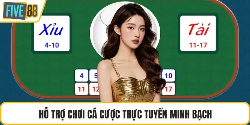 Hỗ trợ chơi cá cược trực tuyến minh bạch